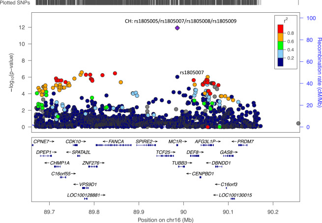 在鹿特丹人群队列中发现的与感知年龄相关的MC1R基因区域